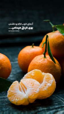 نارنگی-آدمای خوب-خوبی-میوه